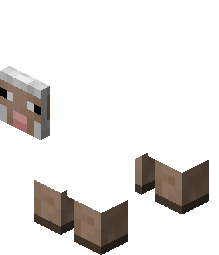 Sheep Body