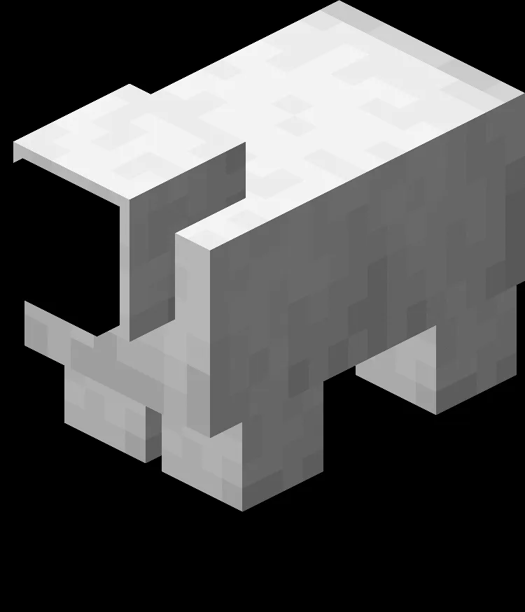 Sheep Wool